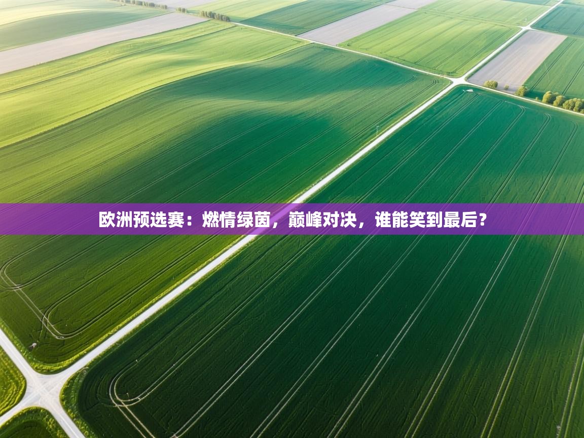 欧洲预选赛：燃情绿茵，巅峰对决，谁能笑到最后？  第2张