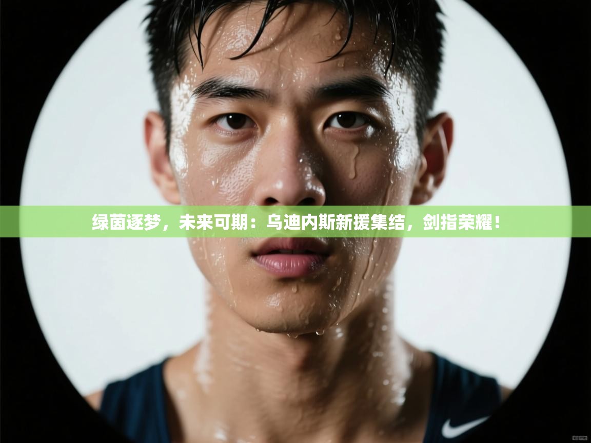 绿茵逐梦,未来可期:乌迪内斯新援集结,剑指荣耀! 第1张