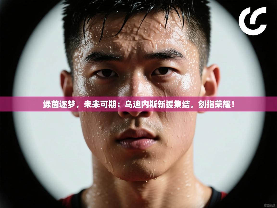 绿茵逐梦,未来可期:乌迪内斯新援集结,剑指荣耀! 第2张